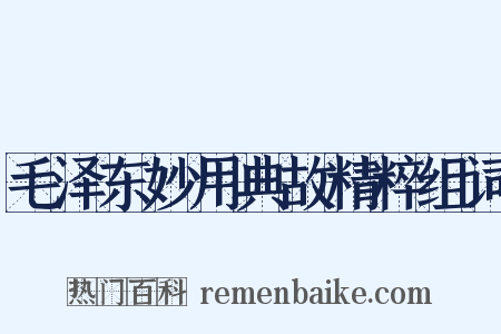 毛泽东妙用典故精粹组词是什么意思的图片